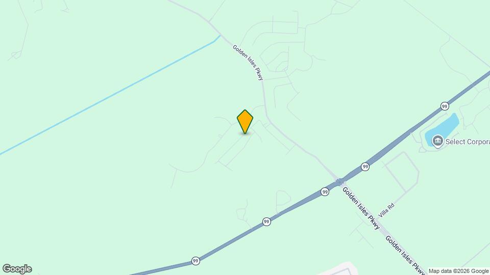 1115 Walker Point Wy Mapa y Detalles de la Ubicación