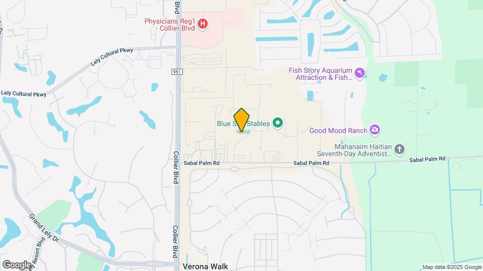 299 Tamarindo Ln Map and Location Details