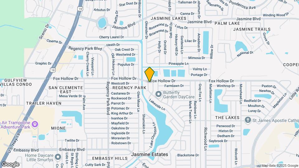 9920 Lake Chrise Ln Map and Location Details