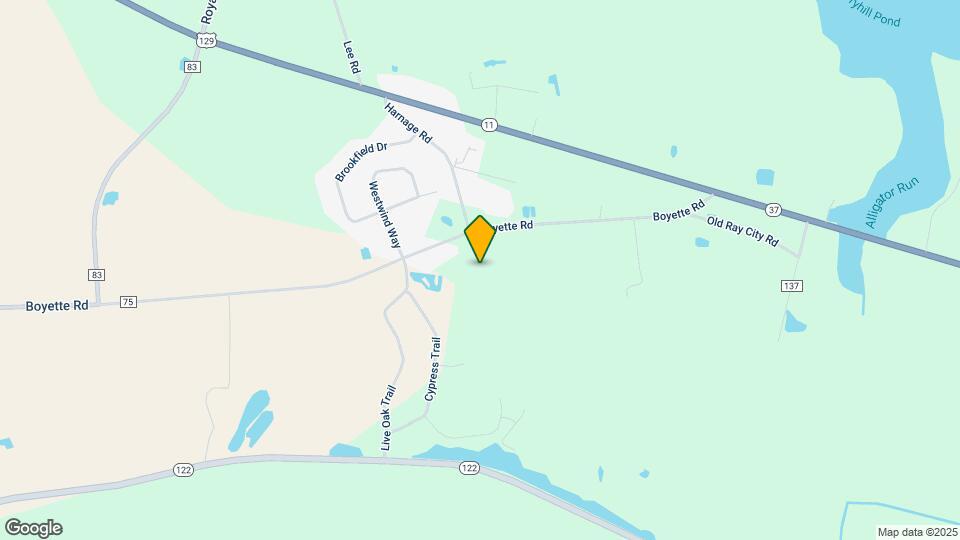 121 Boyette Rd Map and Location Details