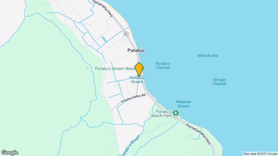 1-216 Kamehameha Hwy Map and Location Details