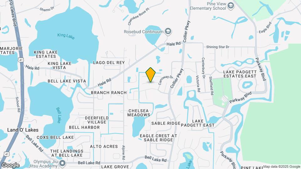 22716 Neff Ct Mapa y Detalles de la Ubicación