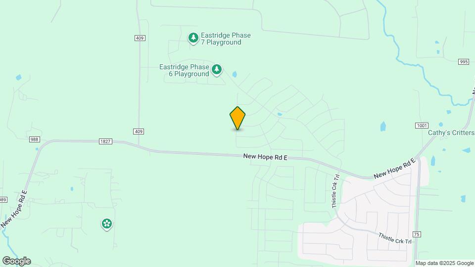 1012 Rosemary Hill Dr Mapa y Detalles de la Ubicación