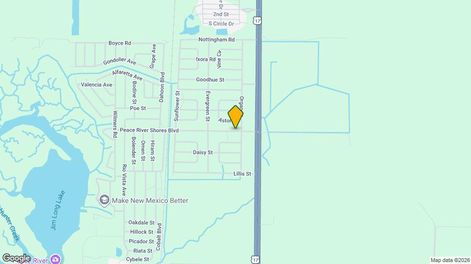 29477 Peace River Shores Blvd Mapa y Detalles de la Ubicación