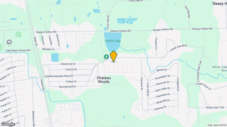 10200 Red Fern Ct Mapa y Detalles de la Ubicación