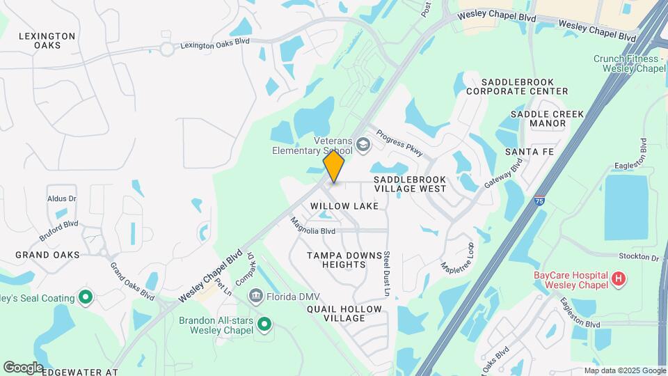 4979 Steel Dust Ln Lutz, FL Rentals