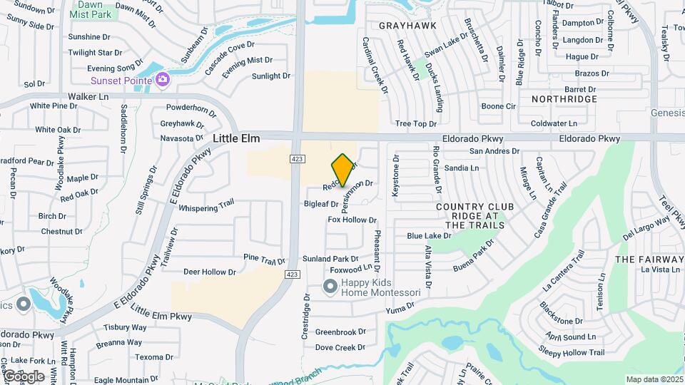 2509 Persimmon Dr Map and Location Details