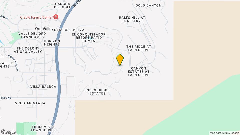 9806 N Ridge Shadow Pl Mapa y Detalles de la Ubicación