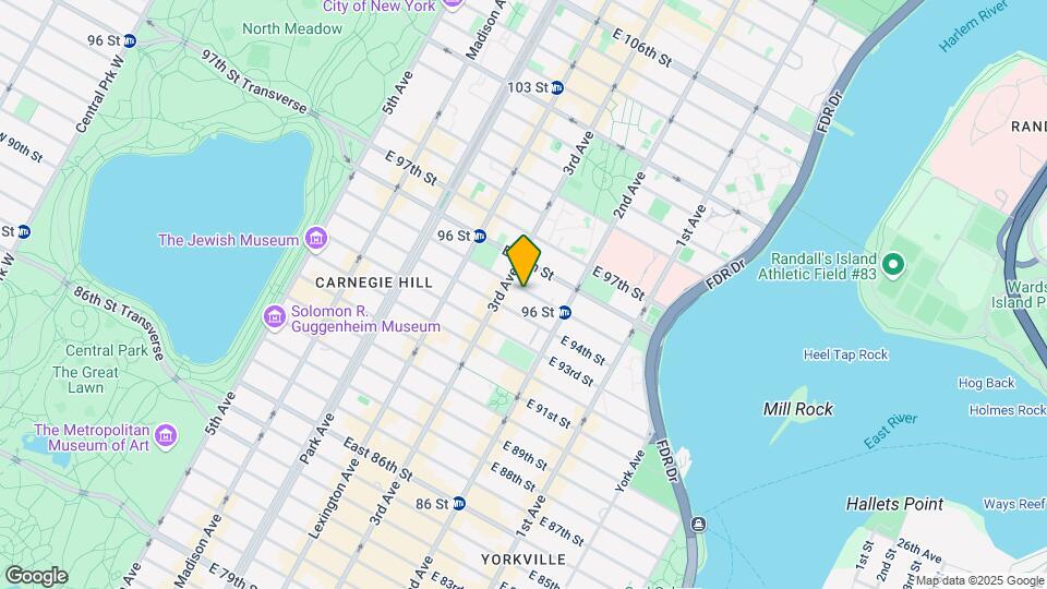 208 E 95th St Mapa y Detalles de la Ubicación