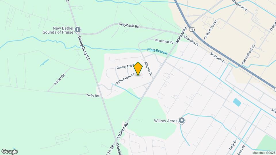 306 Duck Pond Ln Mapa y Detalles de la Ubicación