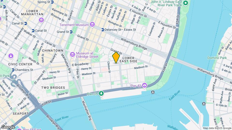 237 Henry St Mapa y Detalles de la Ubicación