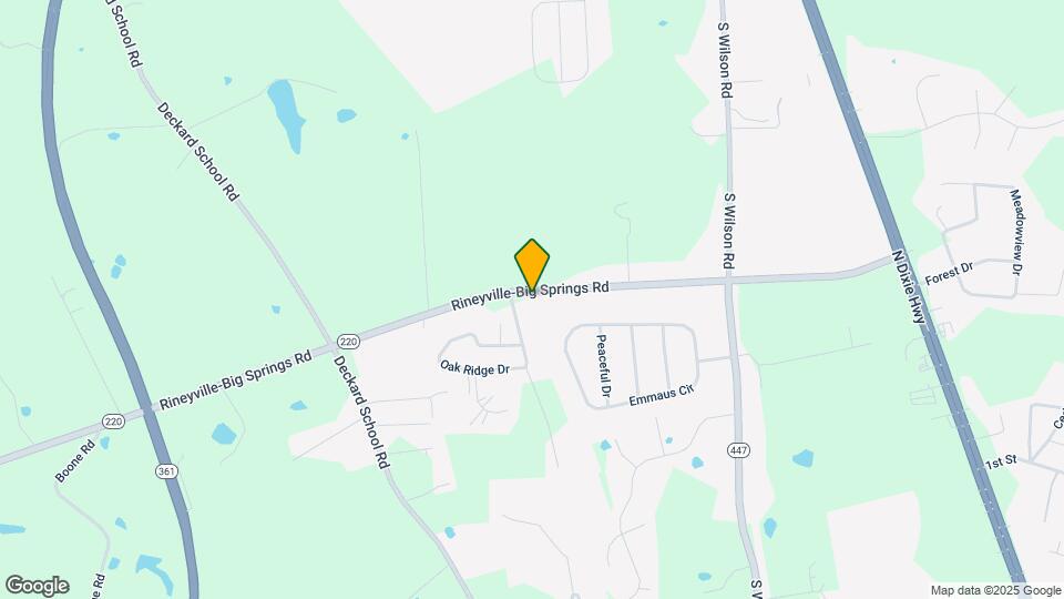 413 Rineyville-Big Springs Rd Map and Location Details