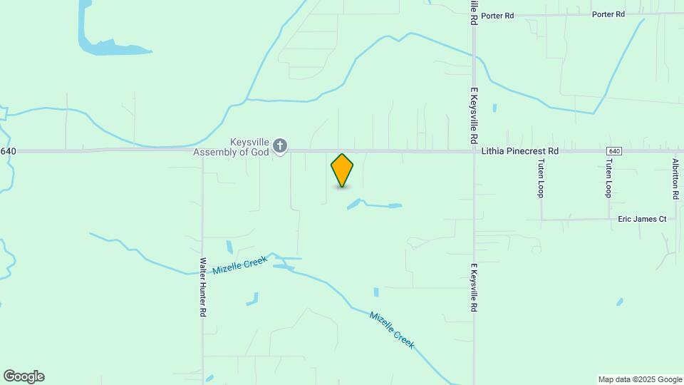 10502 Lithia Pinecrest Rd Map and Location Details