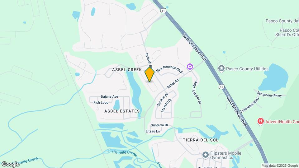 9820 Jasmine Brook Cir Map and Location Details