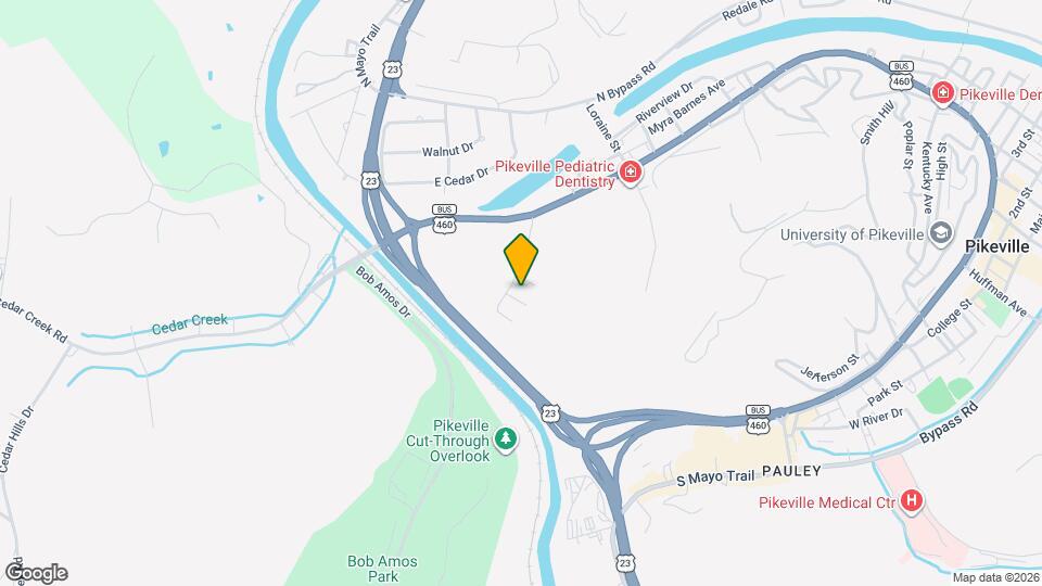 111 Renee Ln Mapa y Detalles de la Ubicación