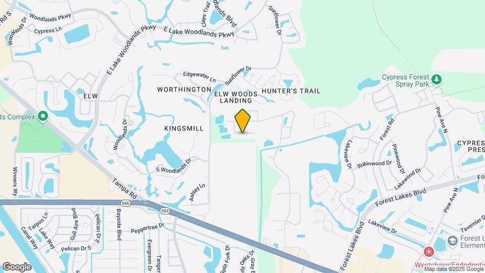 376 Rosalind Ln Mapa y Detalles de la Ubicación