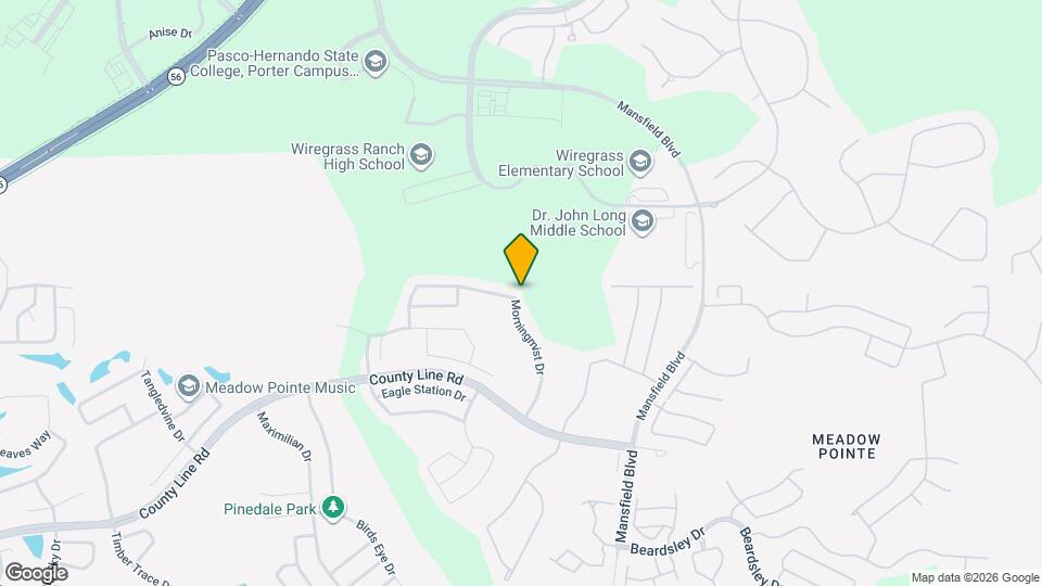 29841 Morningmist Dr Map and Location Details