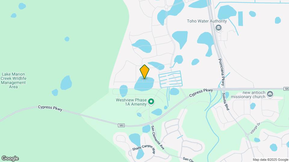4799 Guinep Ln Map and Location Details