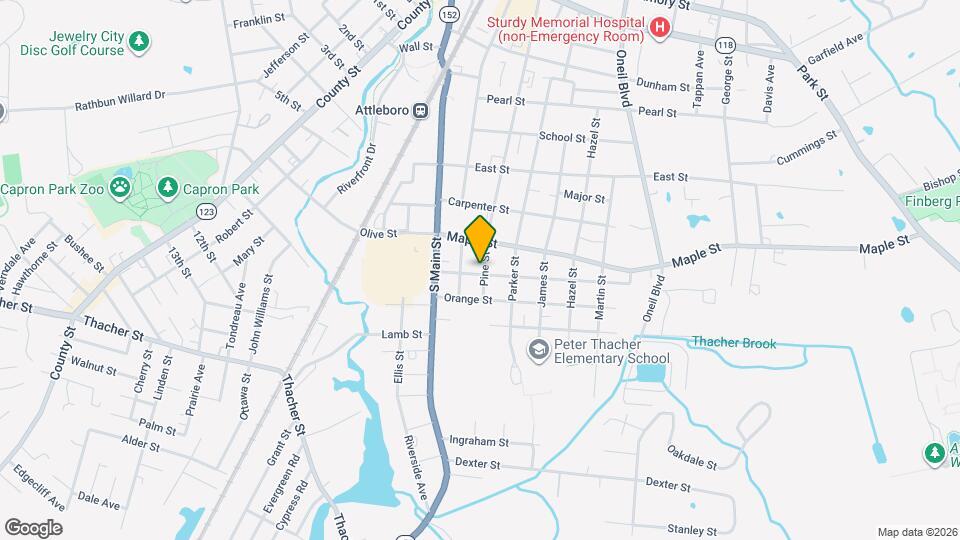 217 Pine St, Unit 3 Mapa y Detalles de la Ubicación