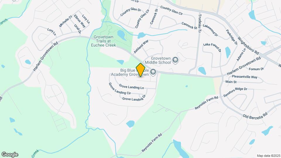 142 Grove Landing Ct Map and Location Details
