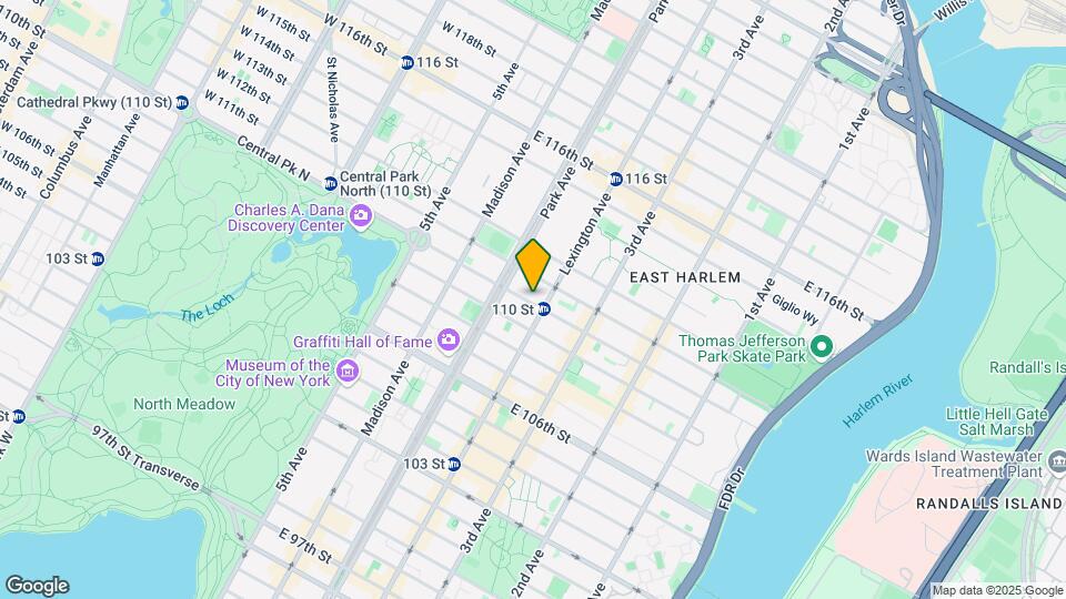 131-133 E 110th St Mapa y Detalles de la Ubicación