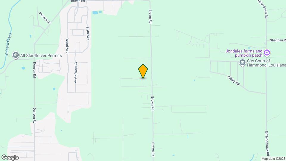 42176 Cat Tail Rd Map and Location Details