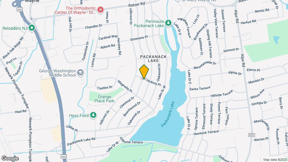 88 Chestnut Dr Mapa y Detalles de la Ubicación