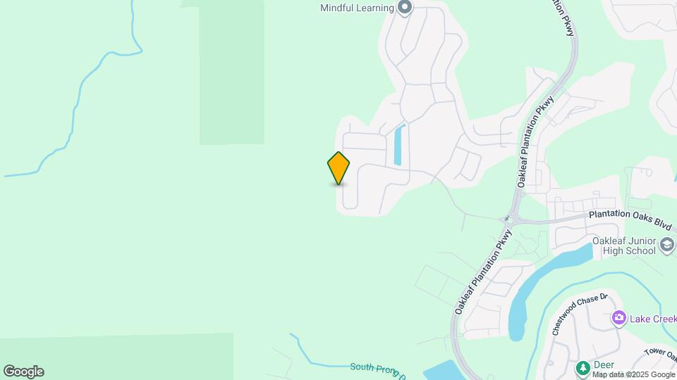 4599 Plantation Oaks Blvd Map and Location Details