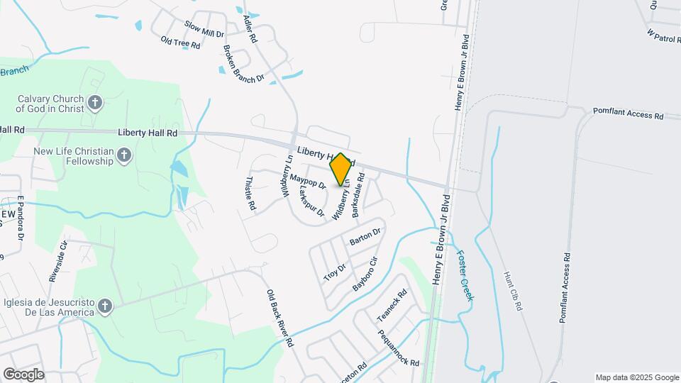161 Wildberry Ln Map and Location Details