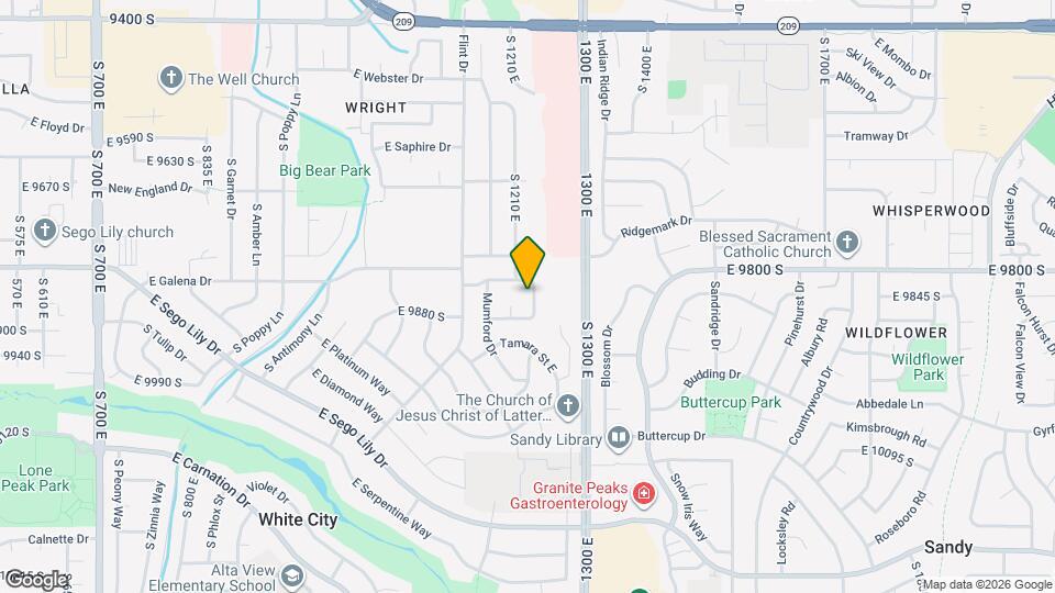 9842 Tiger Eye Dr Map and Location Details