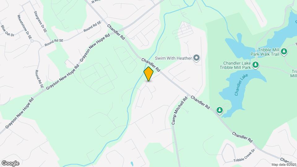 441 Chandler Bluff Ct SE Mapa y Detalles de la Ubicación