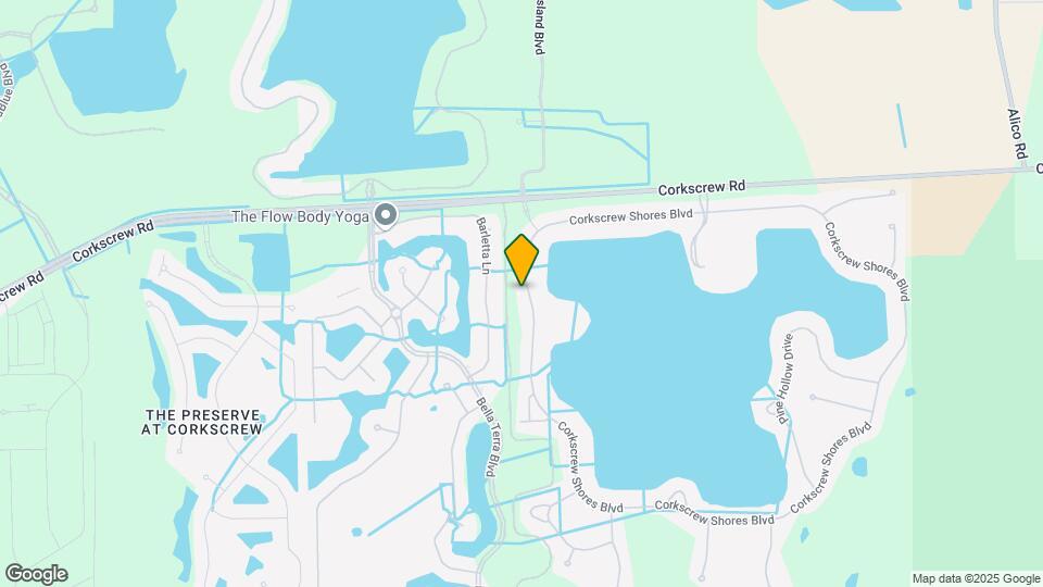 20308 Corkscrew Shores Blvd Mapa y Detalles de la Ubicación
