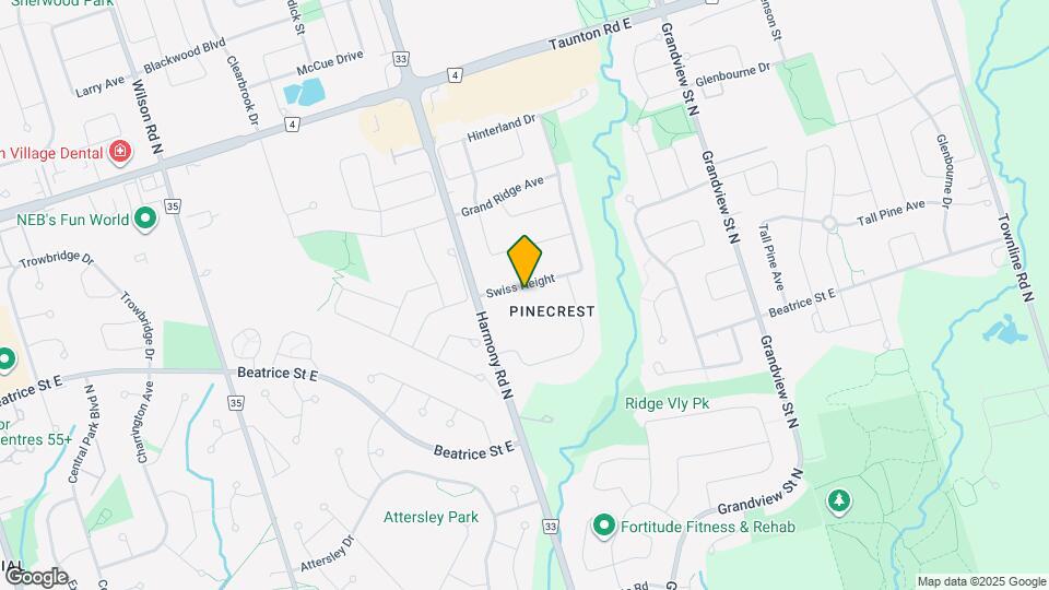 871 Swiss Height Map and Location Details