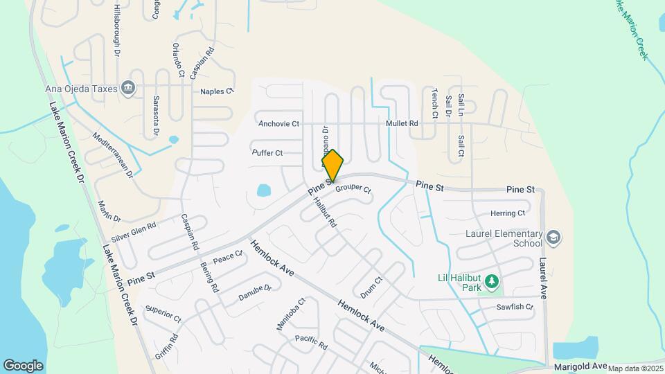 211 Grouper Ct Mapa y Detalles de la Ubicación