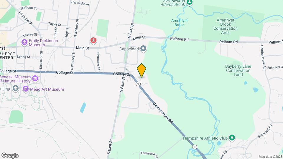 48 Belchertown Rd Map and Location Details