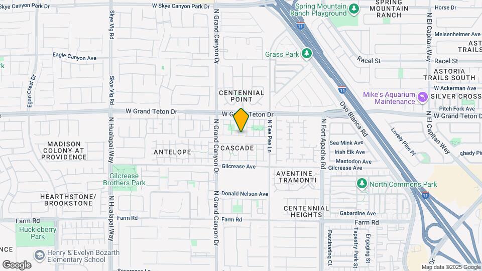 9517 Ezra Fls Ave Map and Location Details