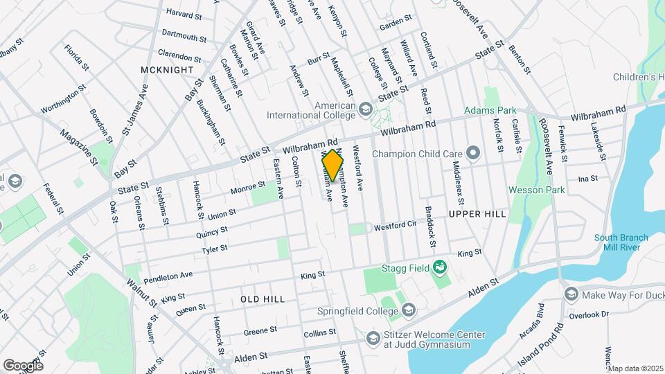 53 Wilbraham Ave Map and Location Details