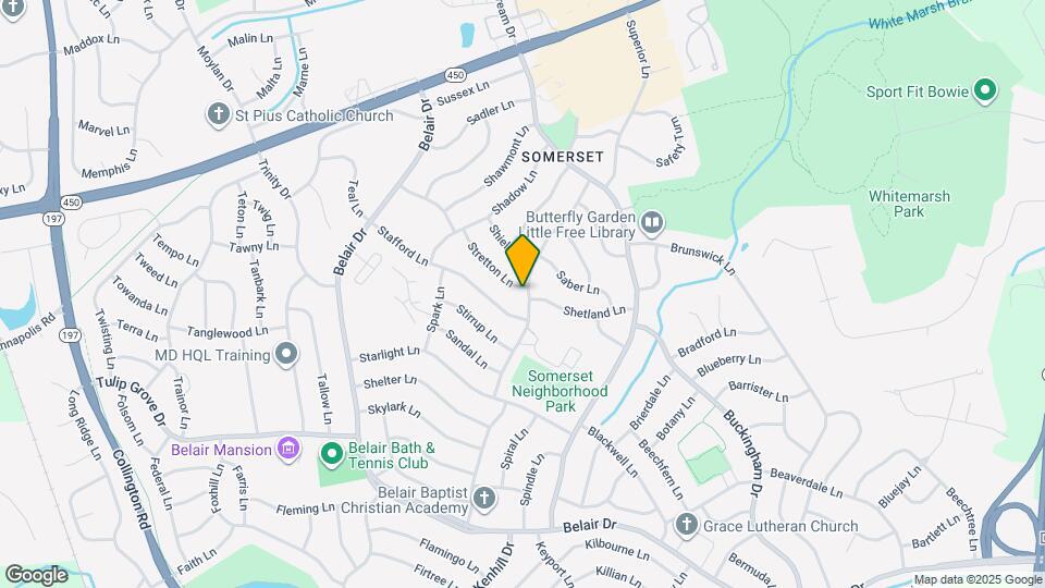 12425 Stretton Ln Map and Location Details