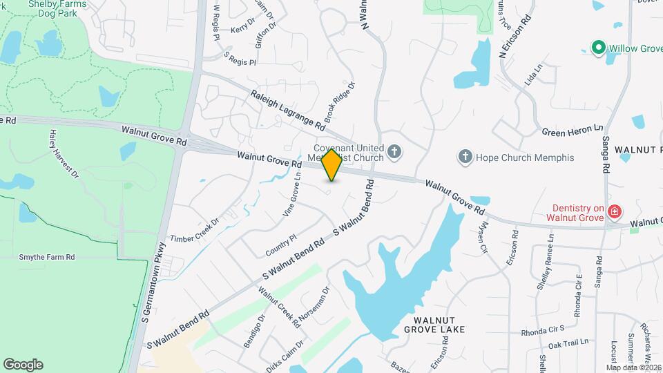 8246 Shady Fern Cove Map and Location Details