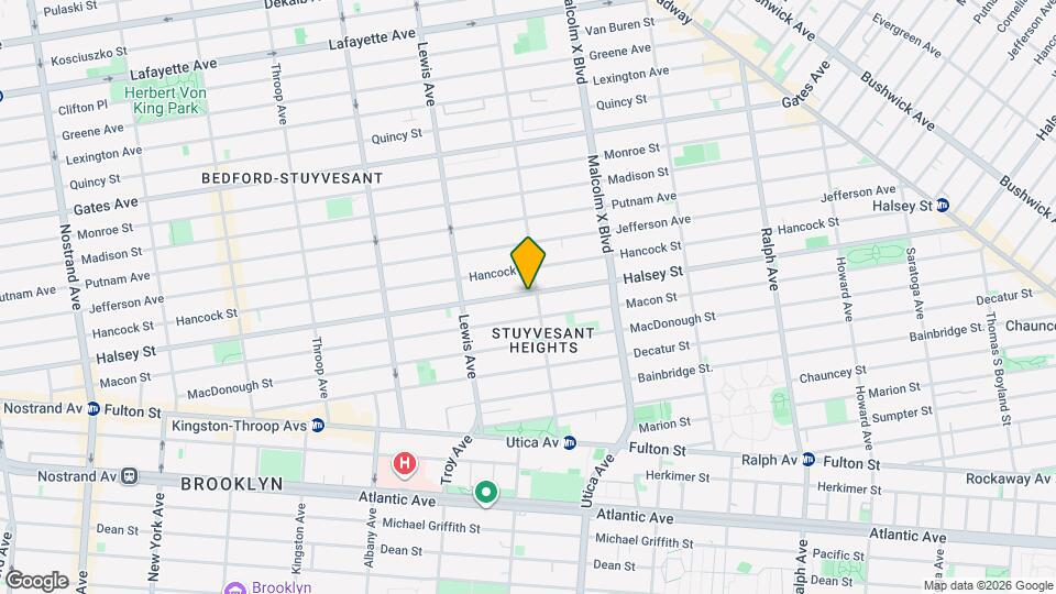 558 Halsey St Mapa y Detalles de la Ubicación