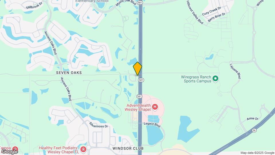2950 Willowleaf Ln Mapa y Detalles de la Ubicación