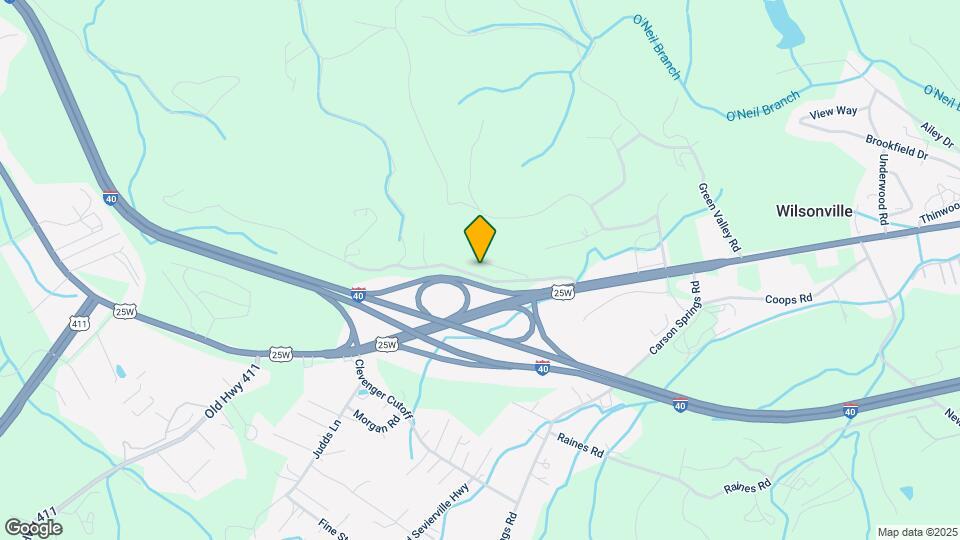1244 Rhyne Camp Rd Map and Location Details
