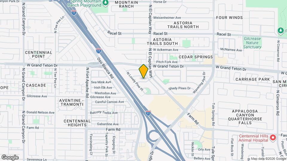 8816 W Pine Pitch Dr Map and Location Details