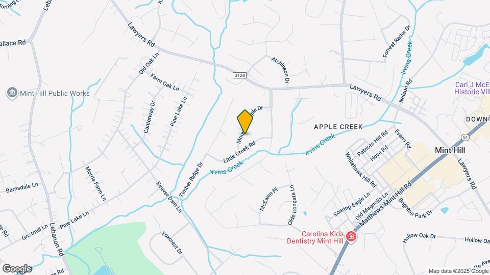 10018 Mountain Apple Dr Mapa y Detalles de la Ubicación