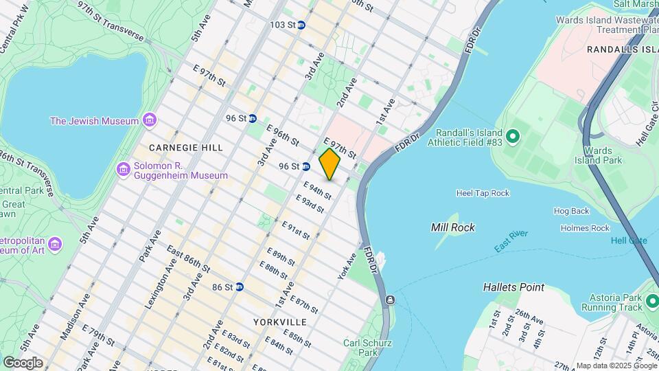 332 E 95TH ST Mapa y Detalles de la Ubicación