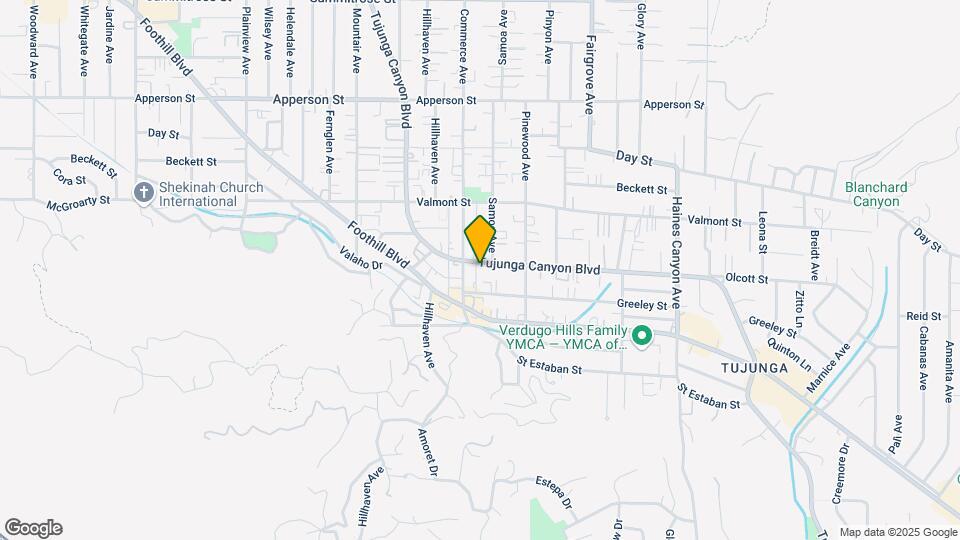 10133 Tujunga Canyon Blvd Map and Location Details