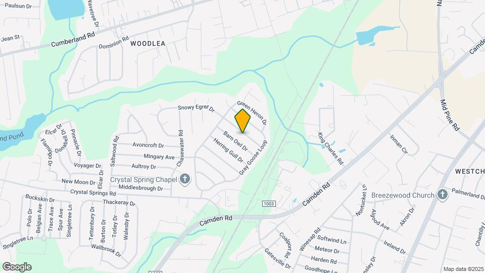 1229 Snowy Egret Dr Map and Location Details