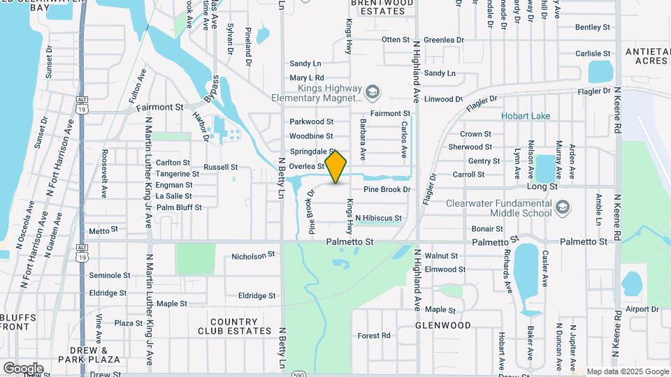 1369 Pine Brook Dr Map and Location Details