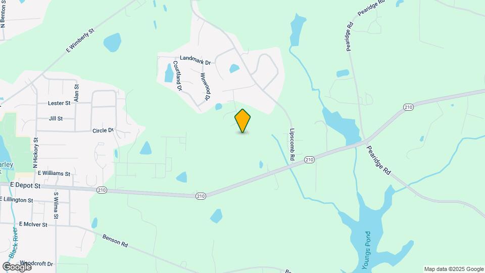 29 Moss Oaks Ct Map and Location Details