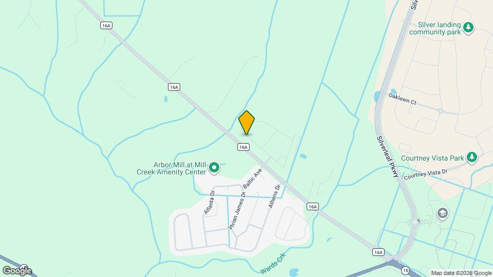 163 Banyan Frst Dr Mapa y Detalles de la Ubicación